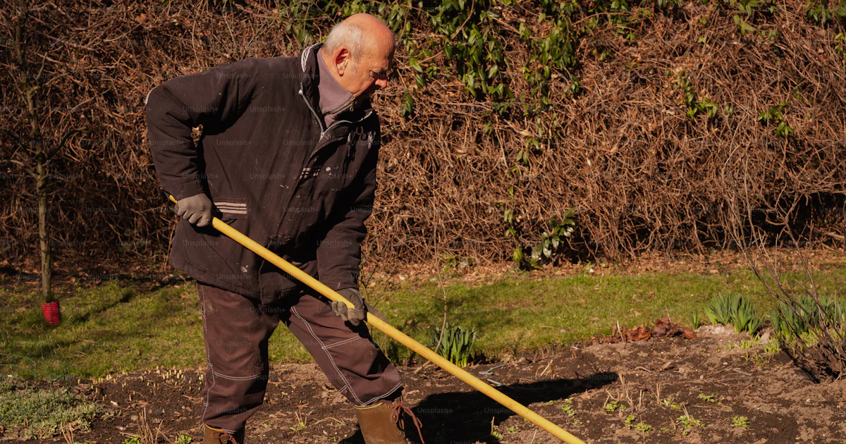 Man Using Shovel A man is digging in the dirt with a shovel photo – Outdoor Image on ...