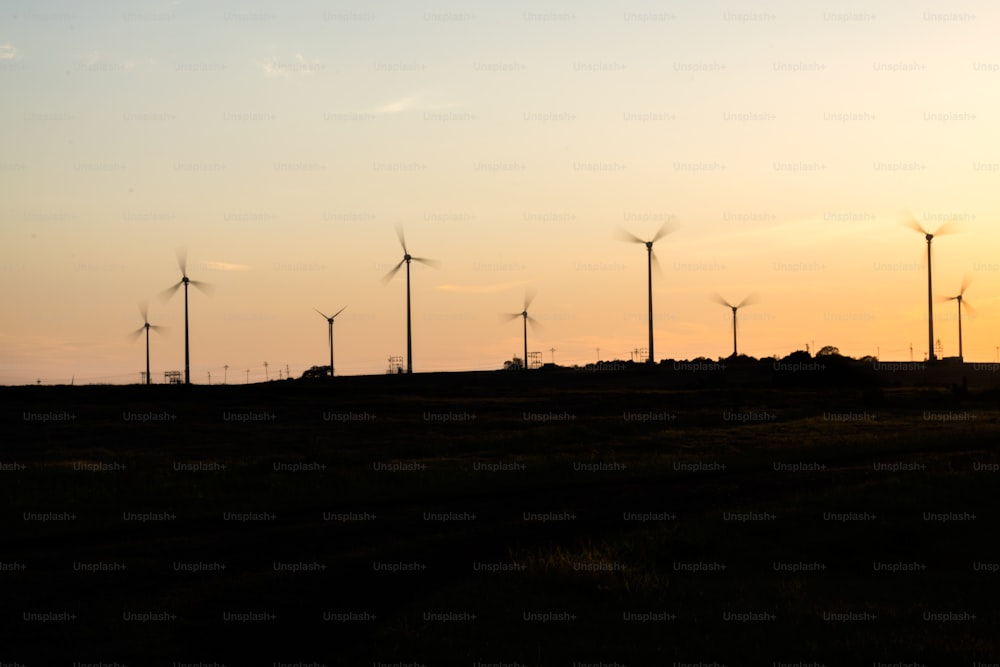 a row of windmills in a field at sunset