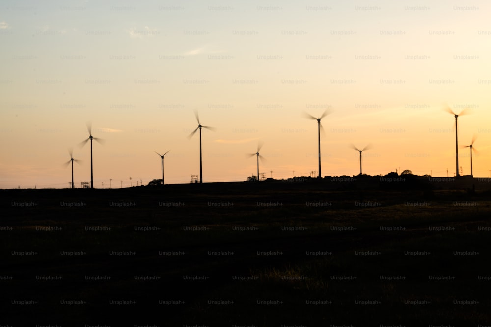uma fileira de moinhos de vento em um campo ao pôr do sol