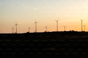 a row of windmills in a field at sunset