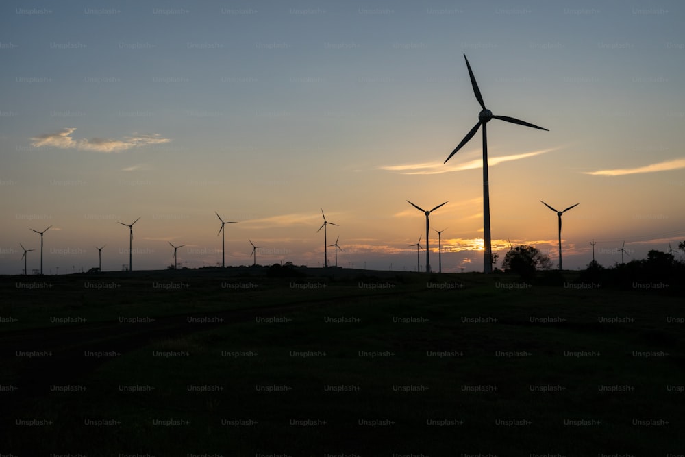 a group of windmills in a field at sunset