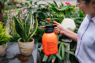 a woman holding a spray bottle next to a potted plant