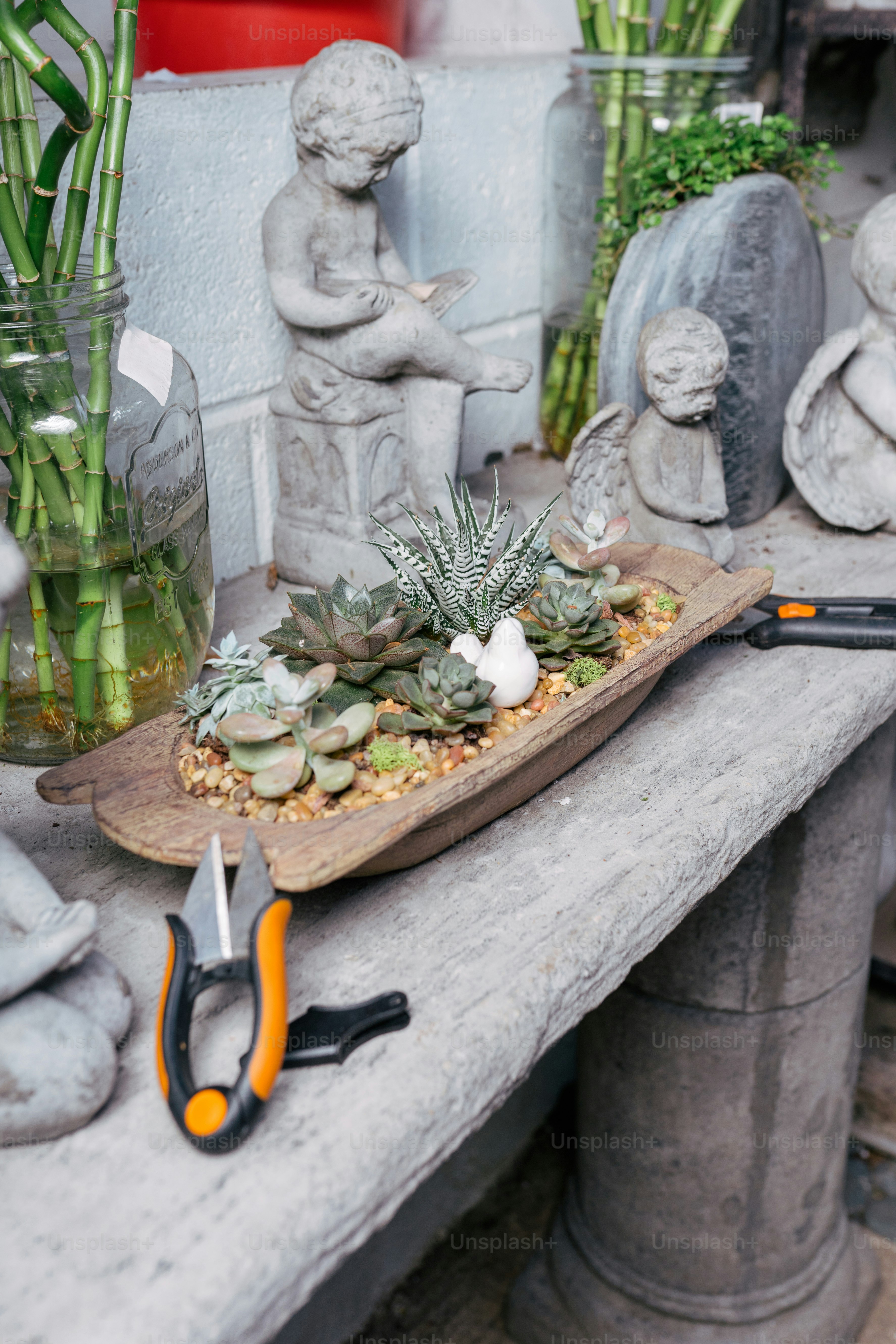 a table topped with a cutting board covered in succulents