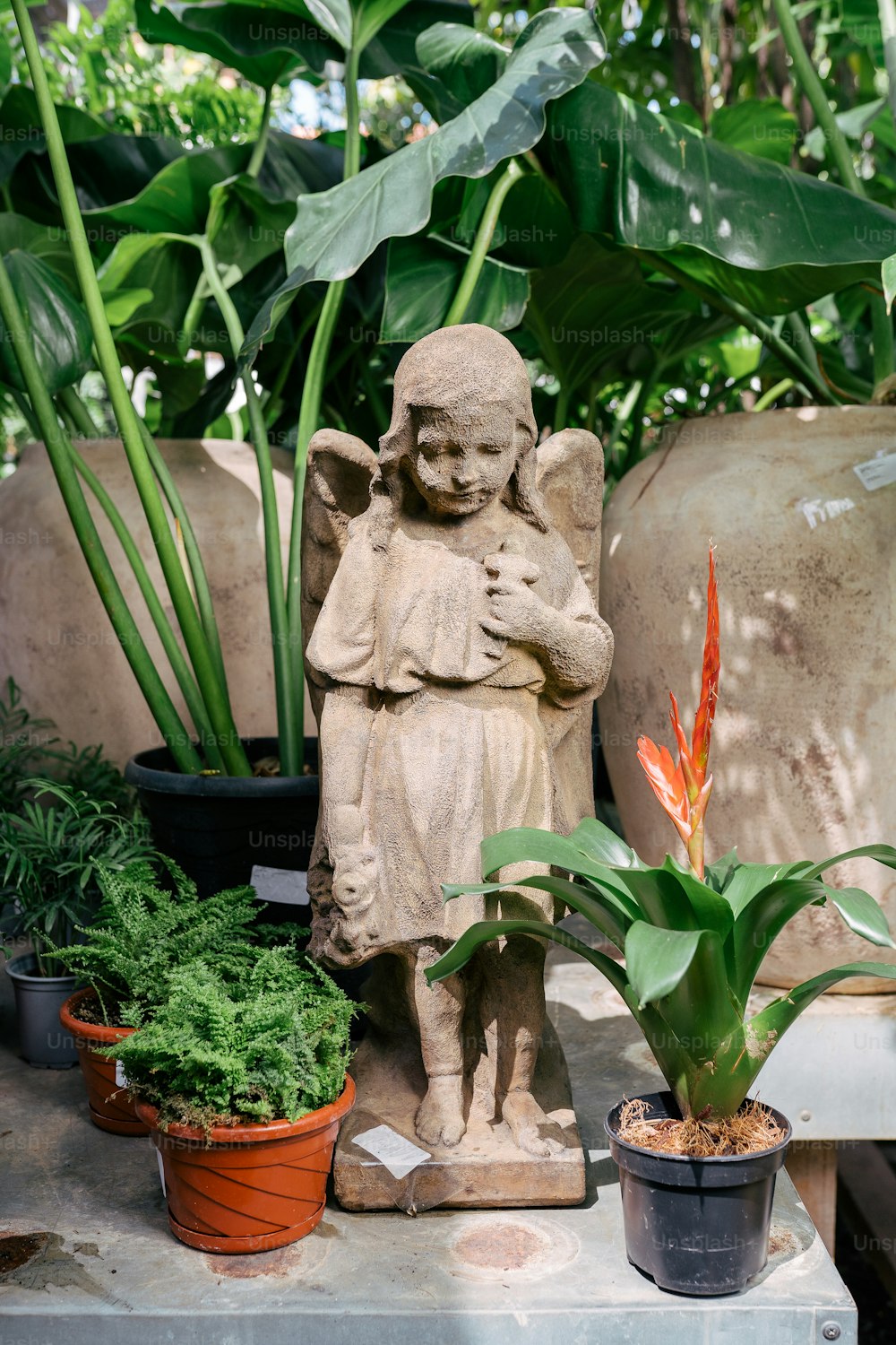 Une statue d’un ange entouré de plantes en pot