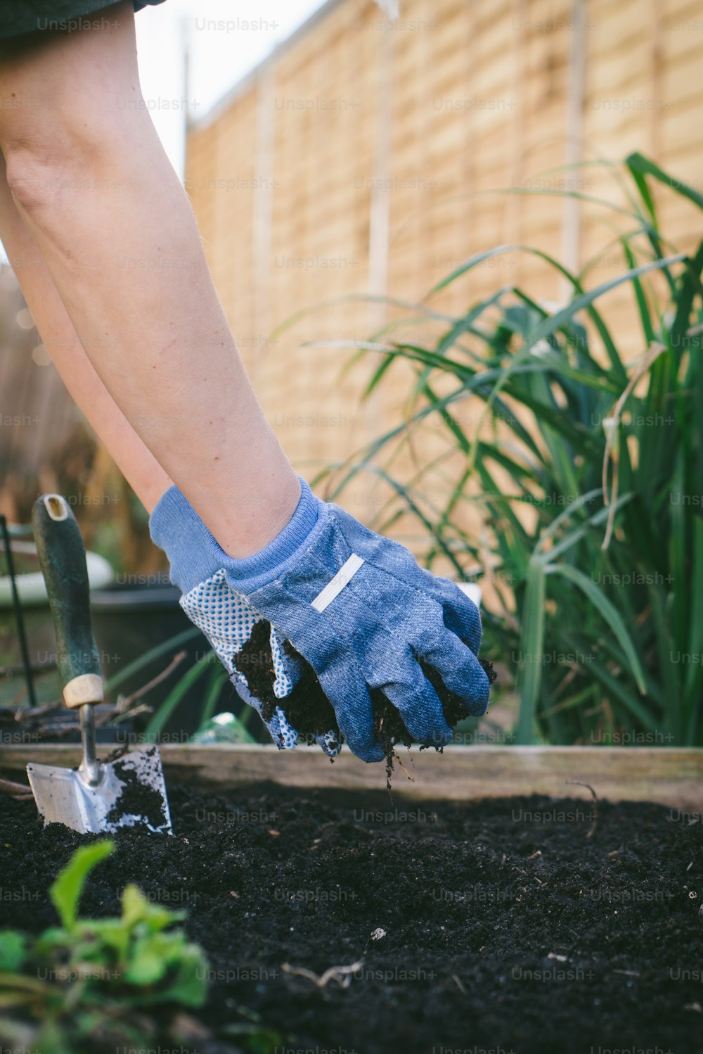 uma pessoa com luvas de jardinagem e ferramentas de jardinagem cavando em um jardim
