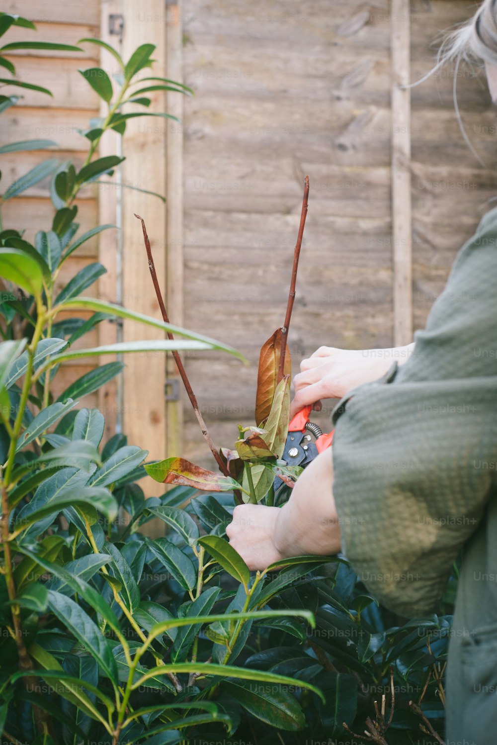Eine Frau, die in einem Garten steht und eine Pflanze hält