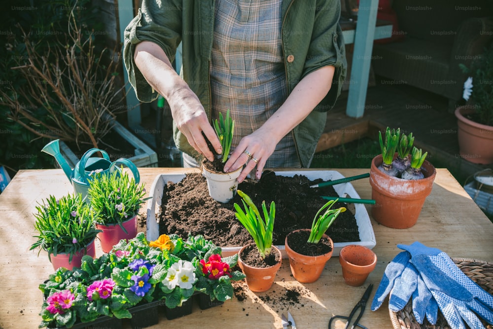 a woman is putting plants in a pot on a table