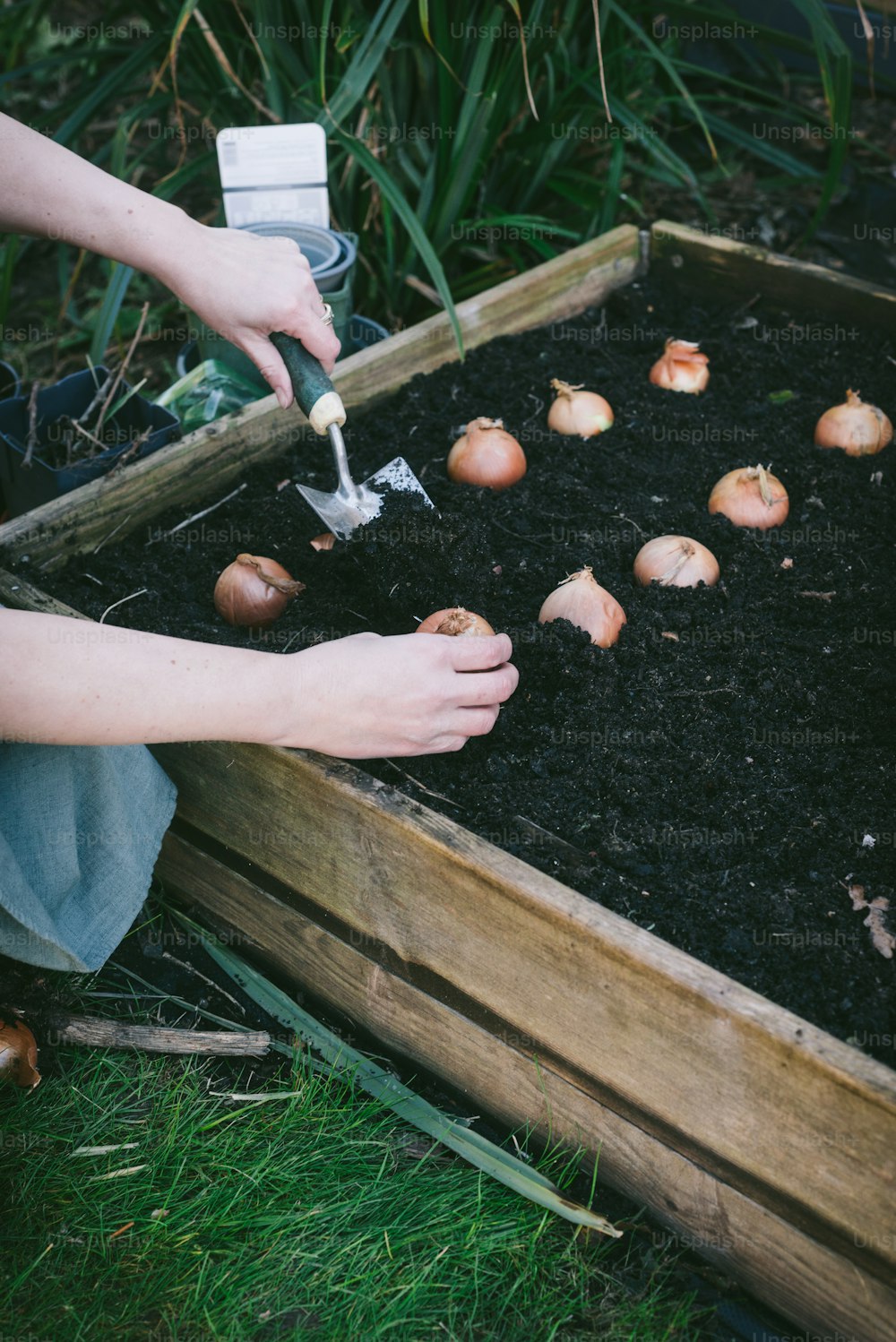 a person is digging in the soil with a garden tool