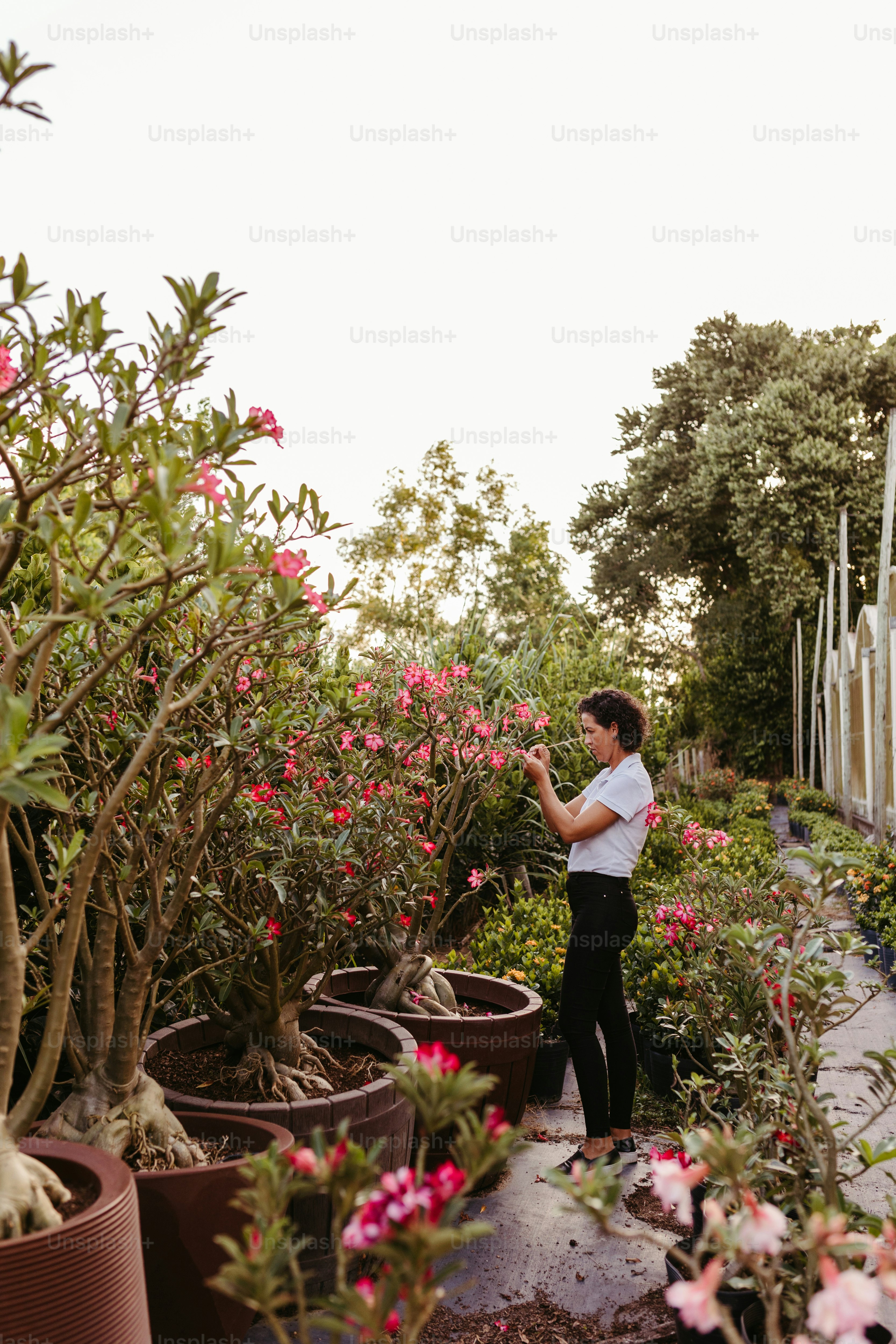 a woman standing in a garden filled with potted plants