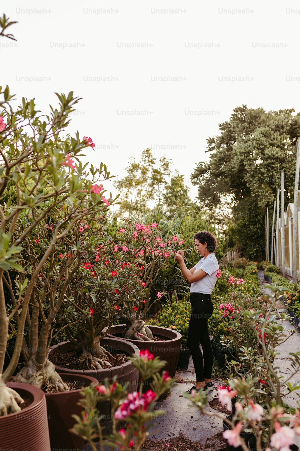a woman standing in a garden filled with potted plants