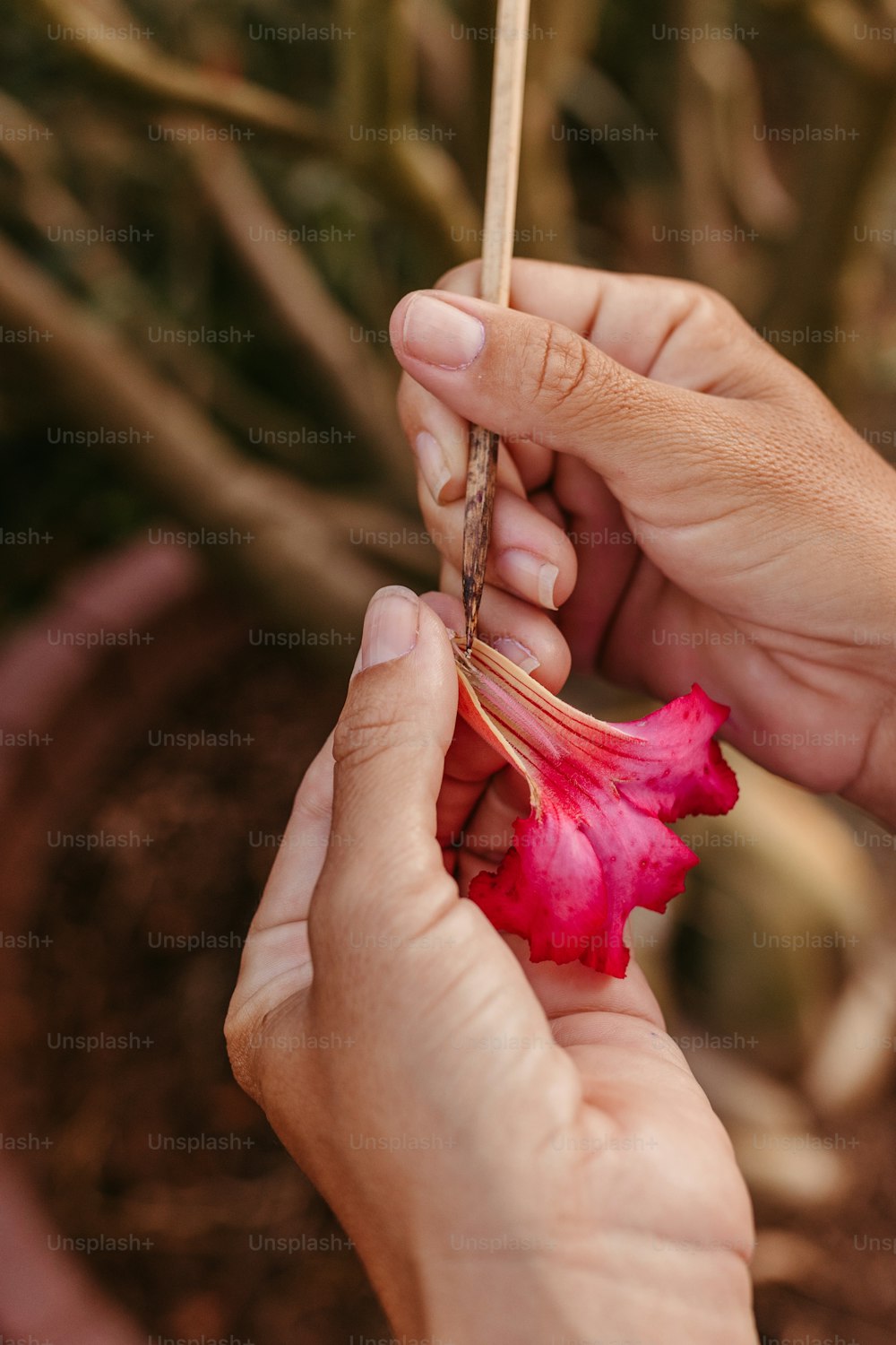 una persona che tiene un fiore in mano