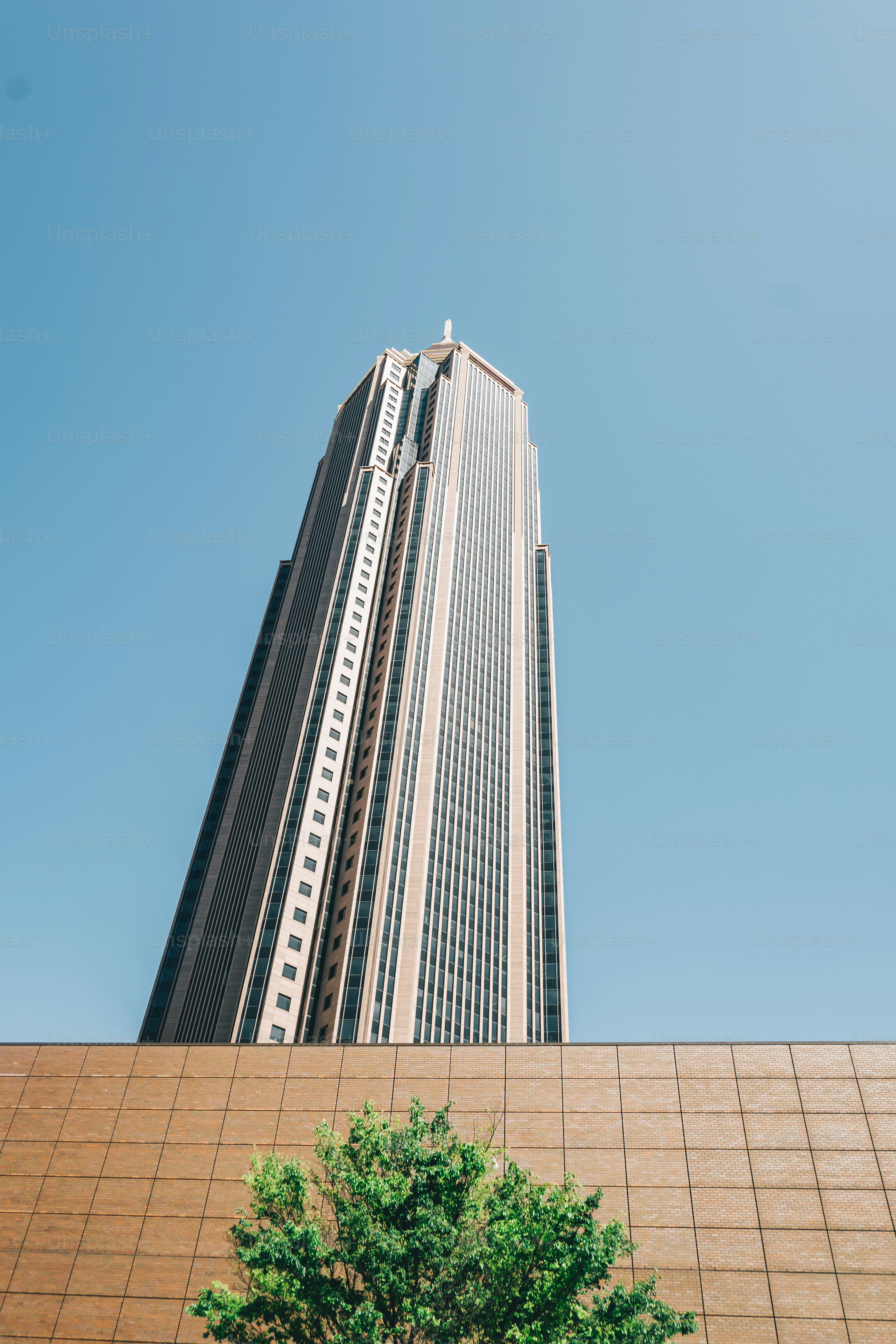 앞에 나무가있는 고층 건물