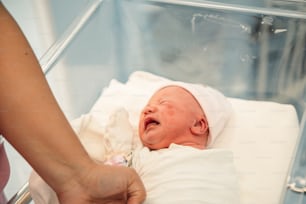 간호사가 안고 있는 병원 침대의 아기
