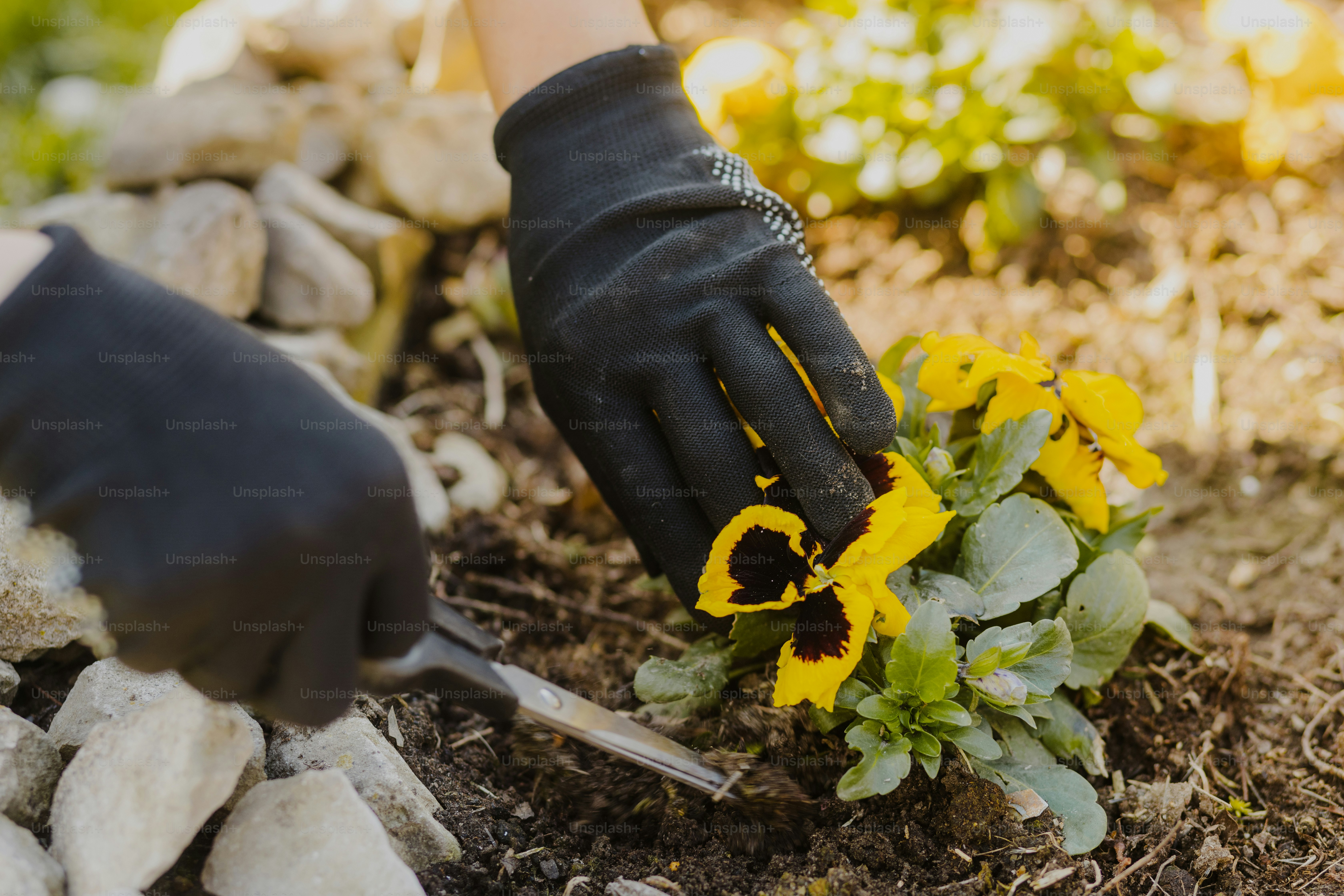 a person wearing black gloves and gardening gloves