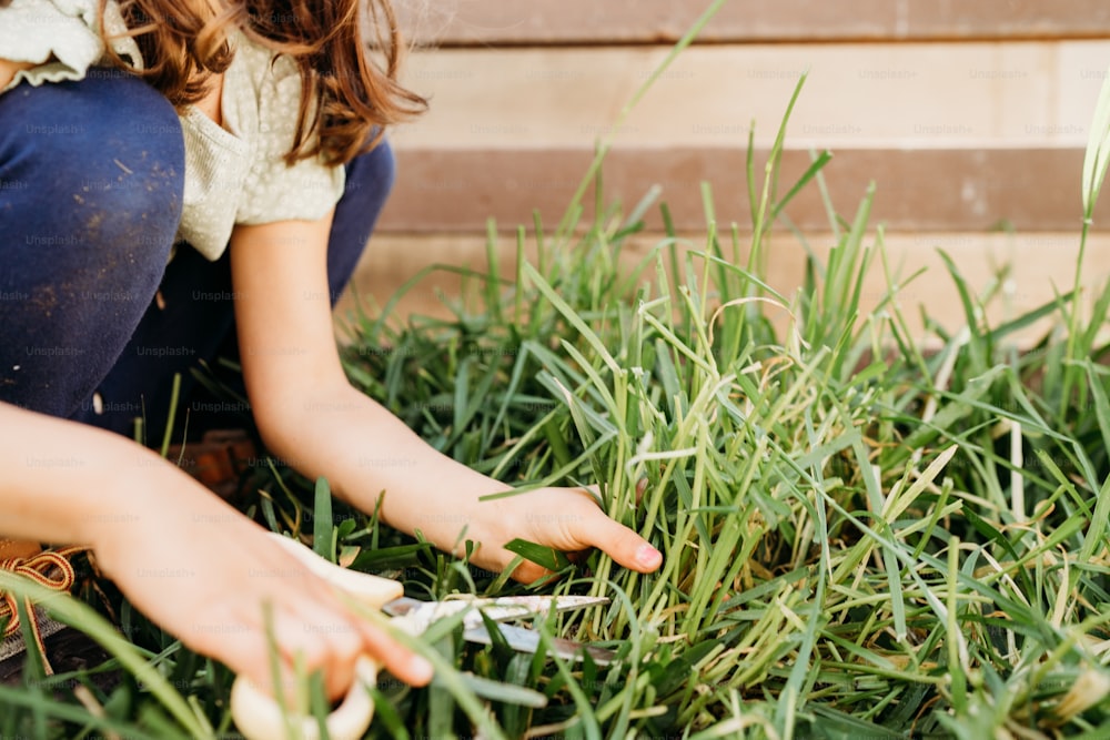 a woman kneeling down in the grass cutting grass