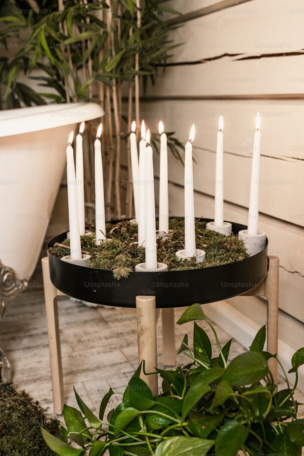a candle holder with moss and white candles