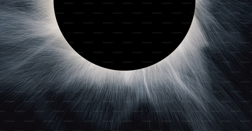 um close up de uma foto em preto e branco de um eclipse