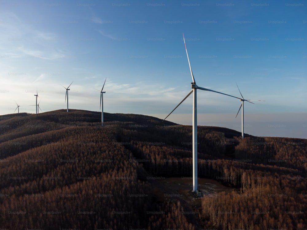 Un grupo de aerogeneradores en la cima de una colina