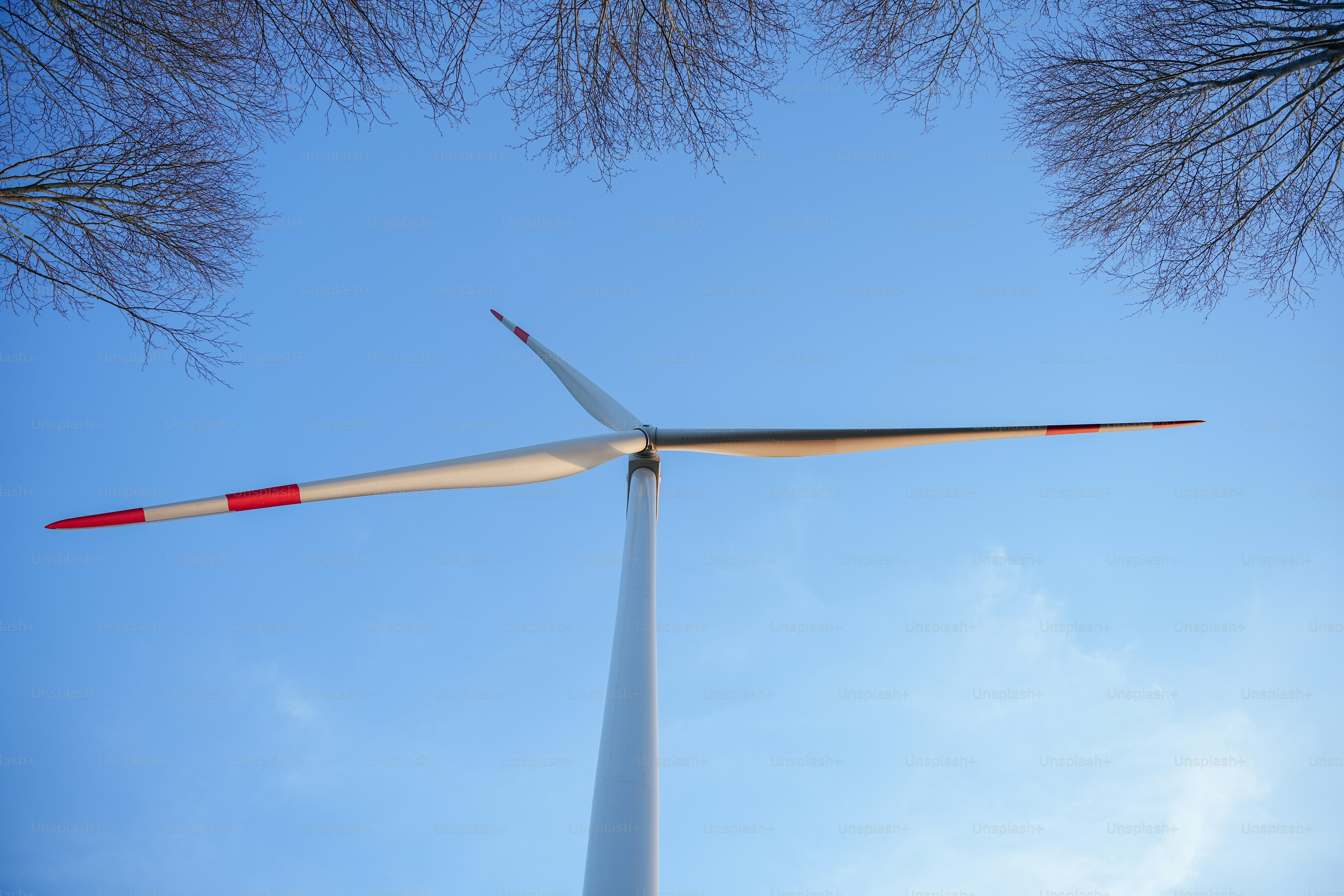 A wind turbine is seen through the branches of trees photo – Wind ...