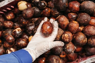 a person in white gloves holding a nut in a bin