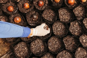 a person wearing a glove standing in front of a bunch of fruit