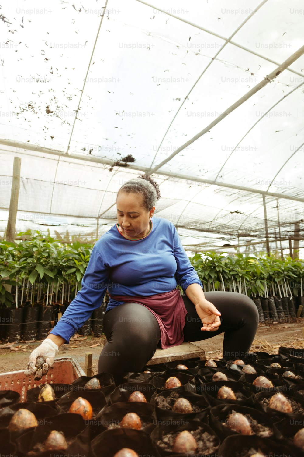 a woman kneeling down in a greenhouse with lots of plants