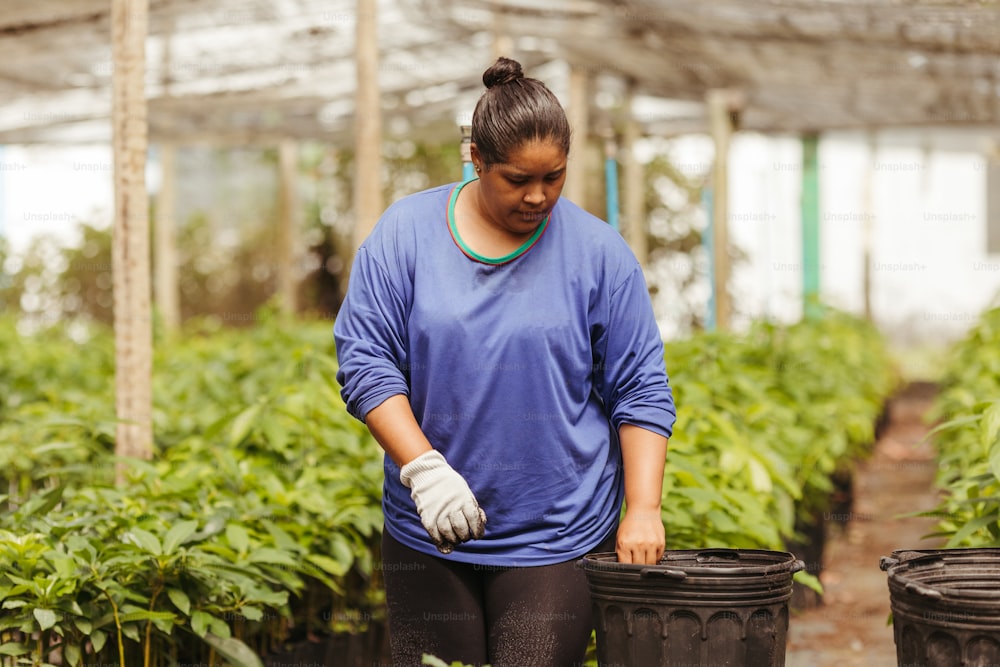 a woman standing in a greenhouse holding two buckets of plants