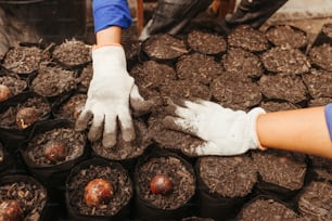 a person wearing white gloves and gloves on top of a pile of potted plants