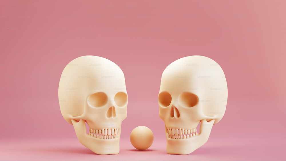 a couple of white skulls standing next to each other