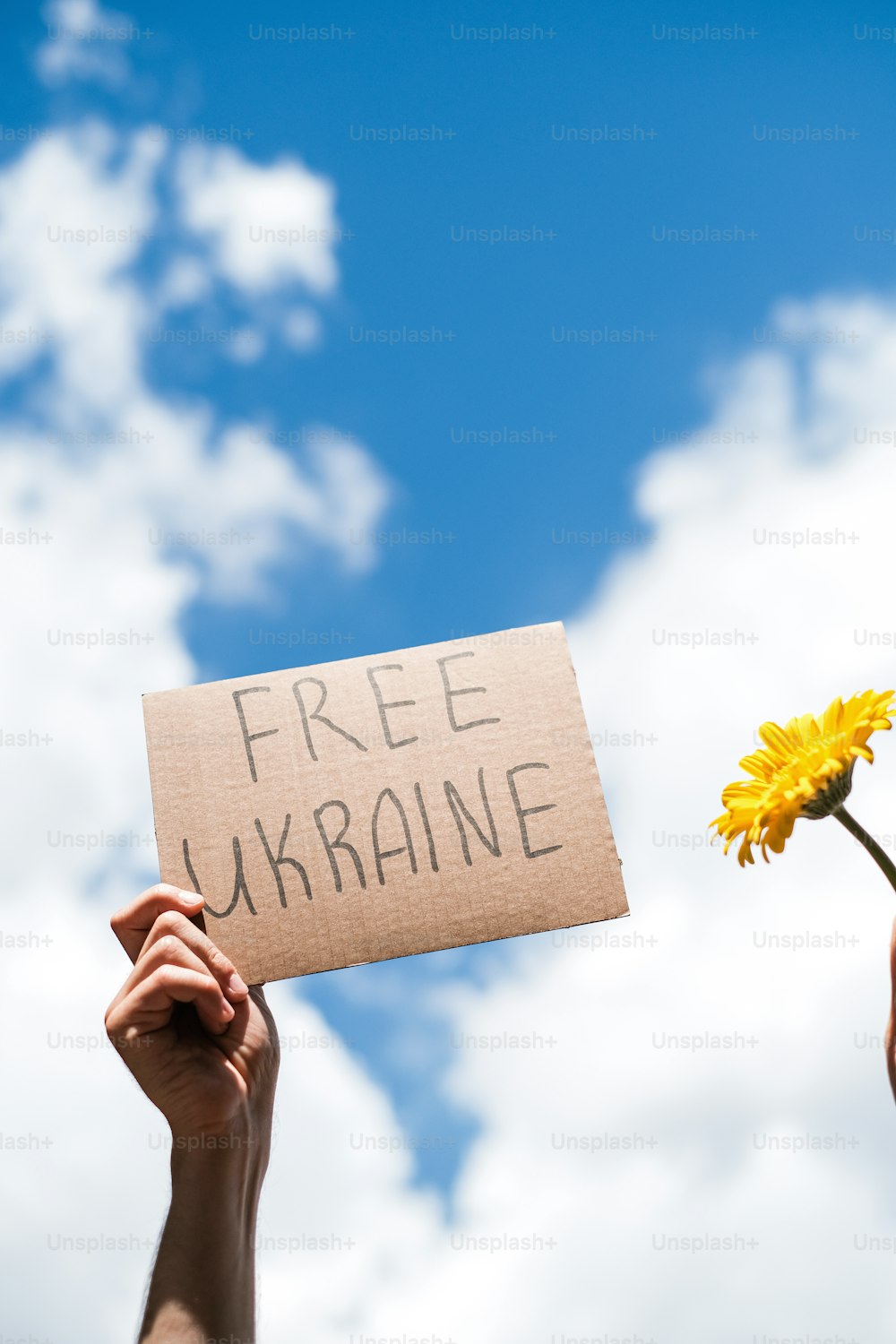 自由ウクライナと書かれた看板を持って�いる人