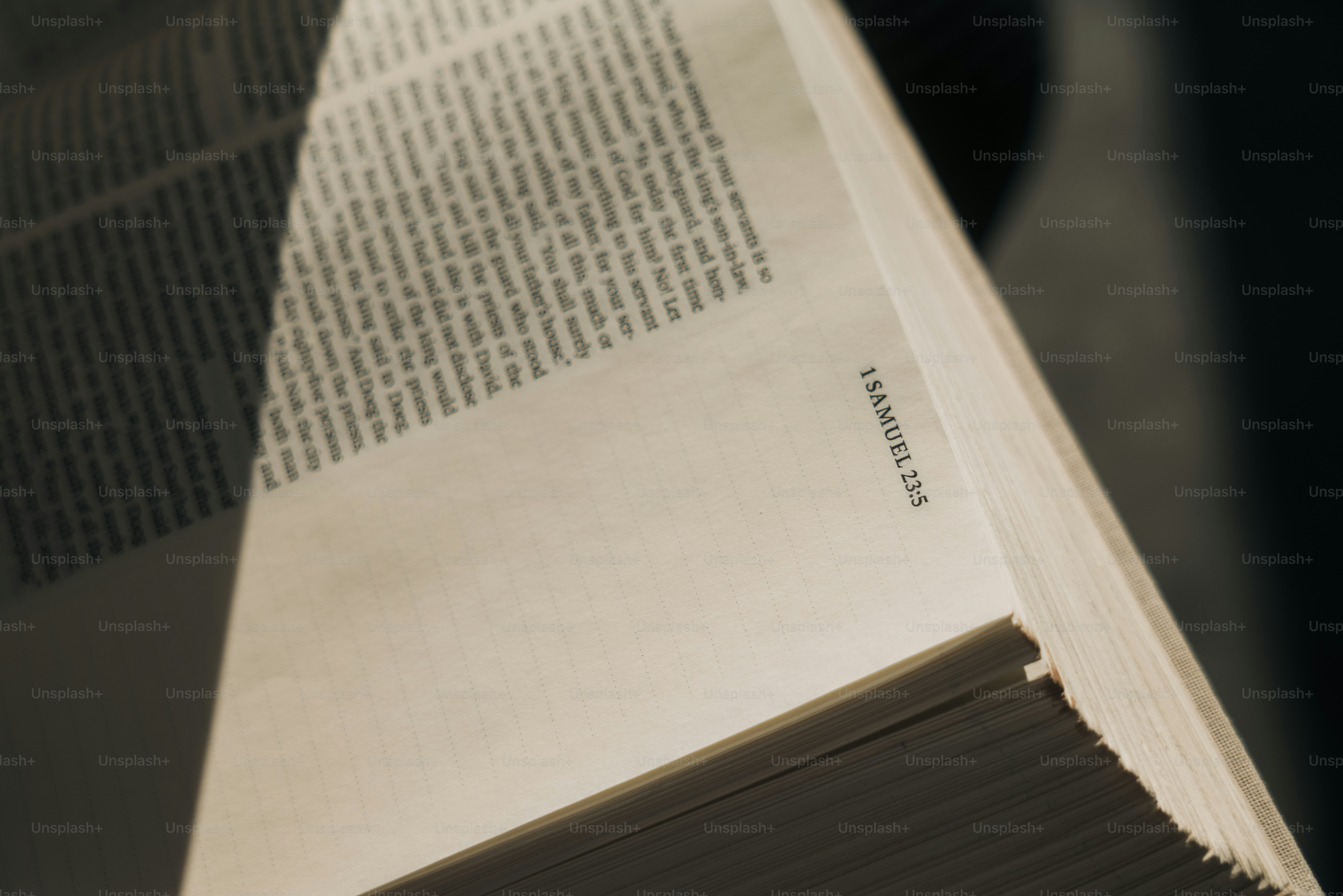close up of bible page in the sun