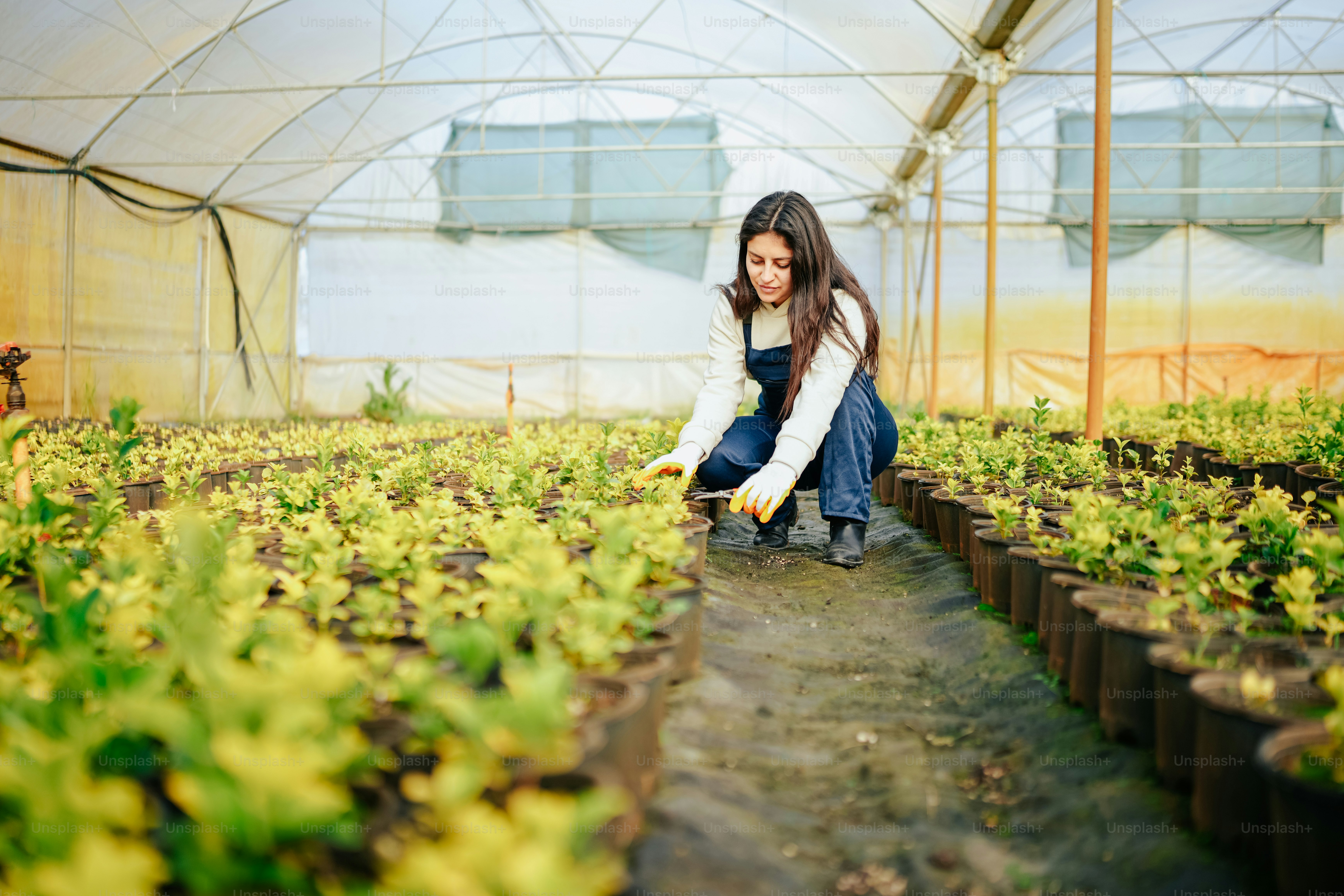 uma mulher em uma estufa que tende a plantas