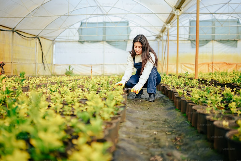 a woman in a greenhouse tending to plants