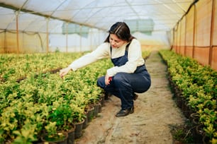 a woman kneeling down in a greenhouse picking plants