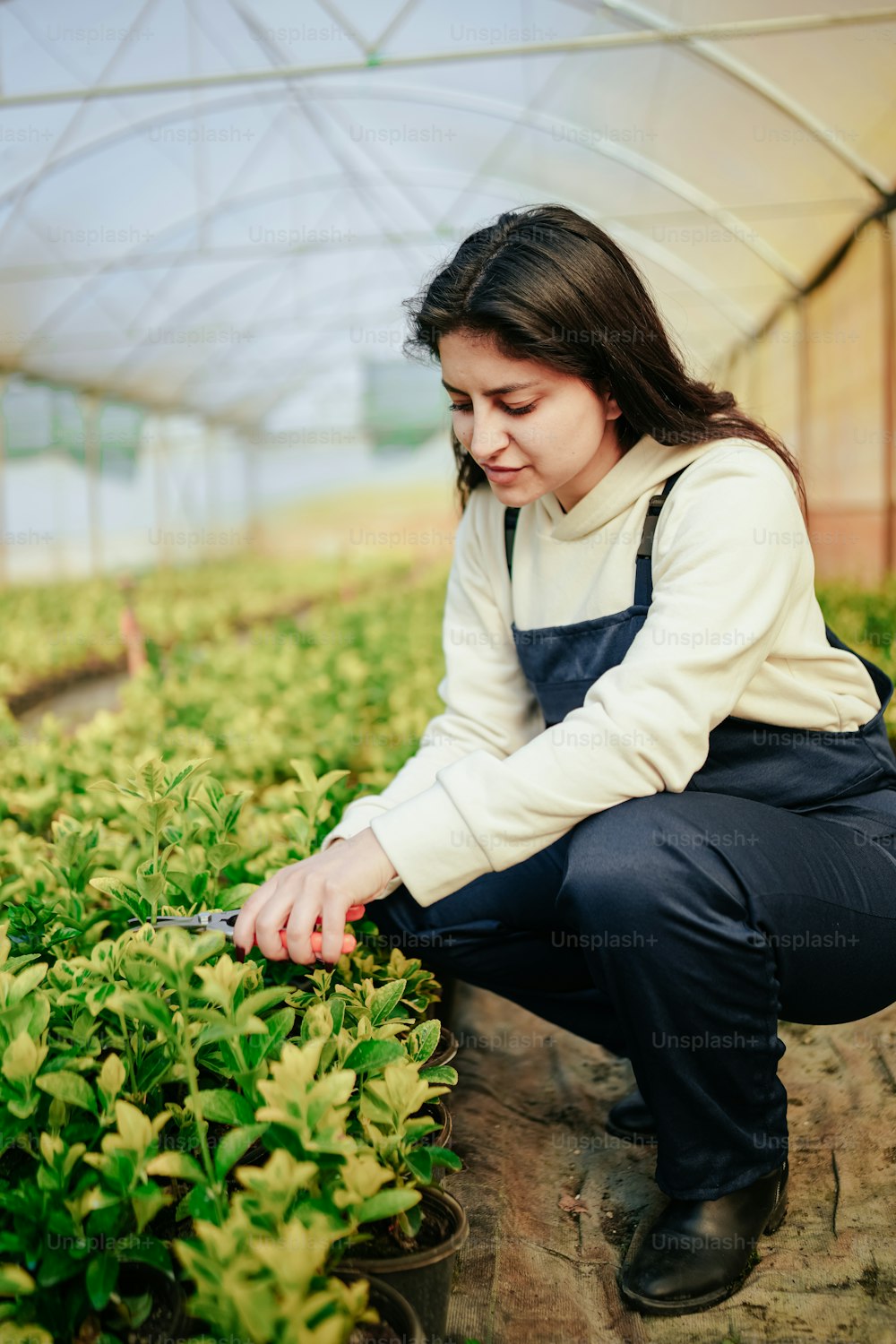 a woman kneeling down in a greenhouse cutting plants