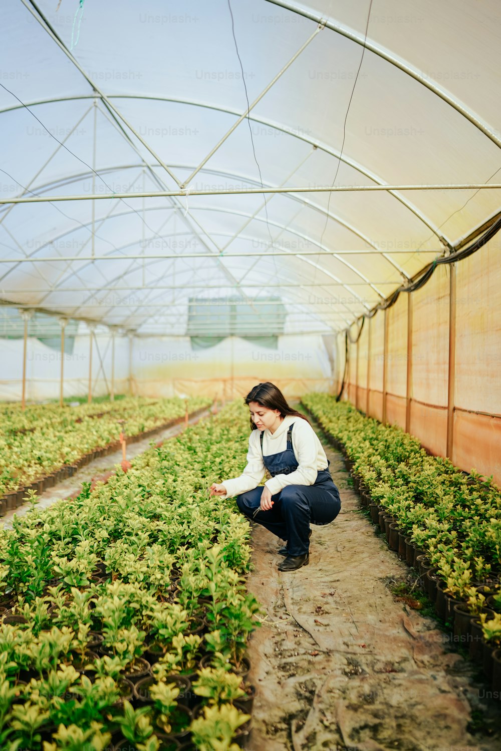 a woman kneeling down in the middle of a greenhouse