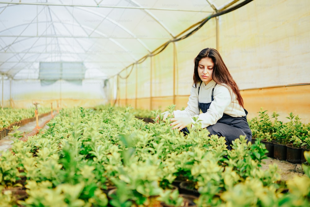 Una donna in una serra che tende alle piante