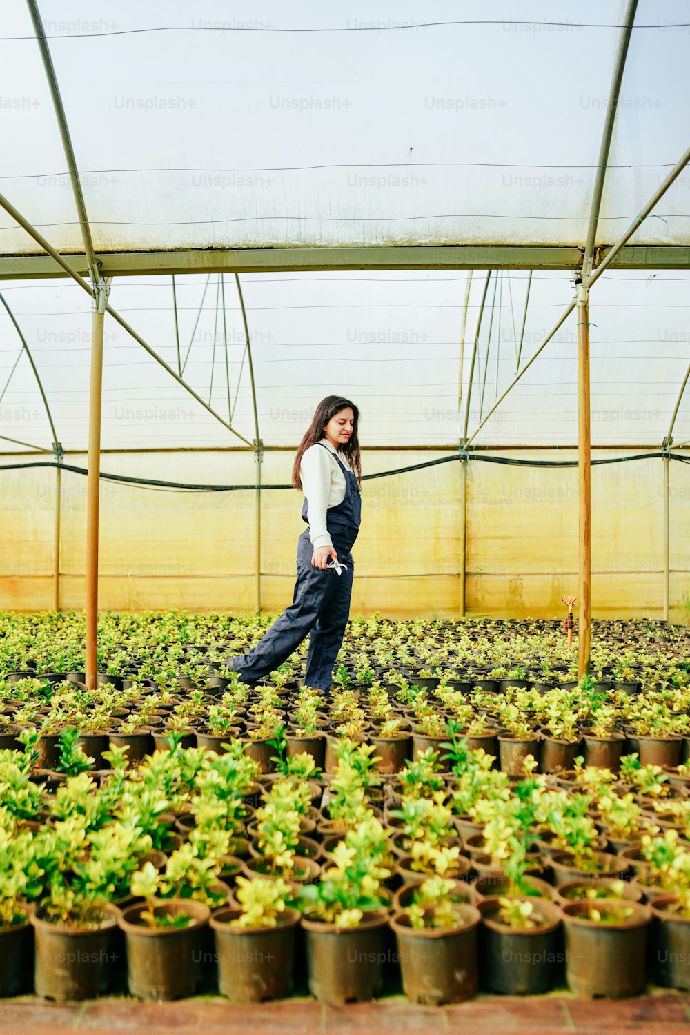 a woman walking through a greenhouse filled with plants