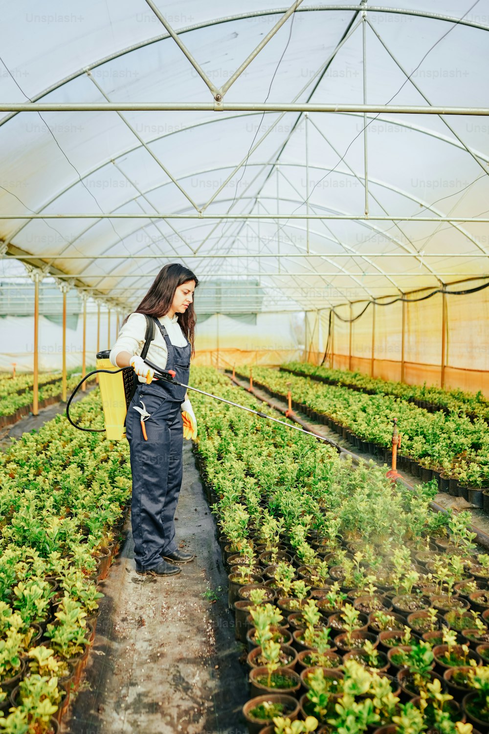 a woman standing in a greenhouse holding a sprayer