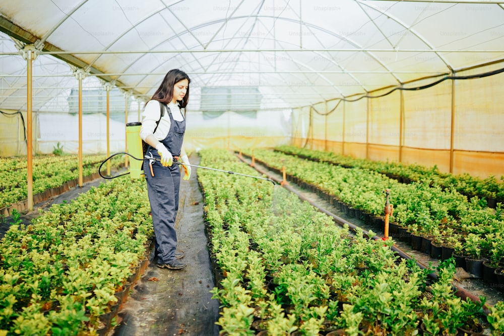 a woman watering plants in a greenhouse