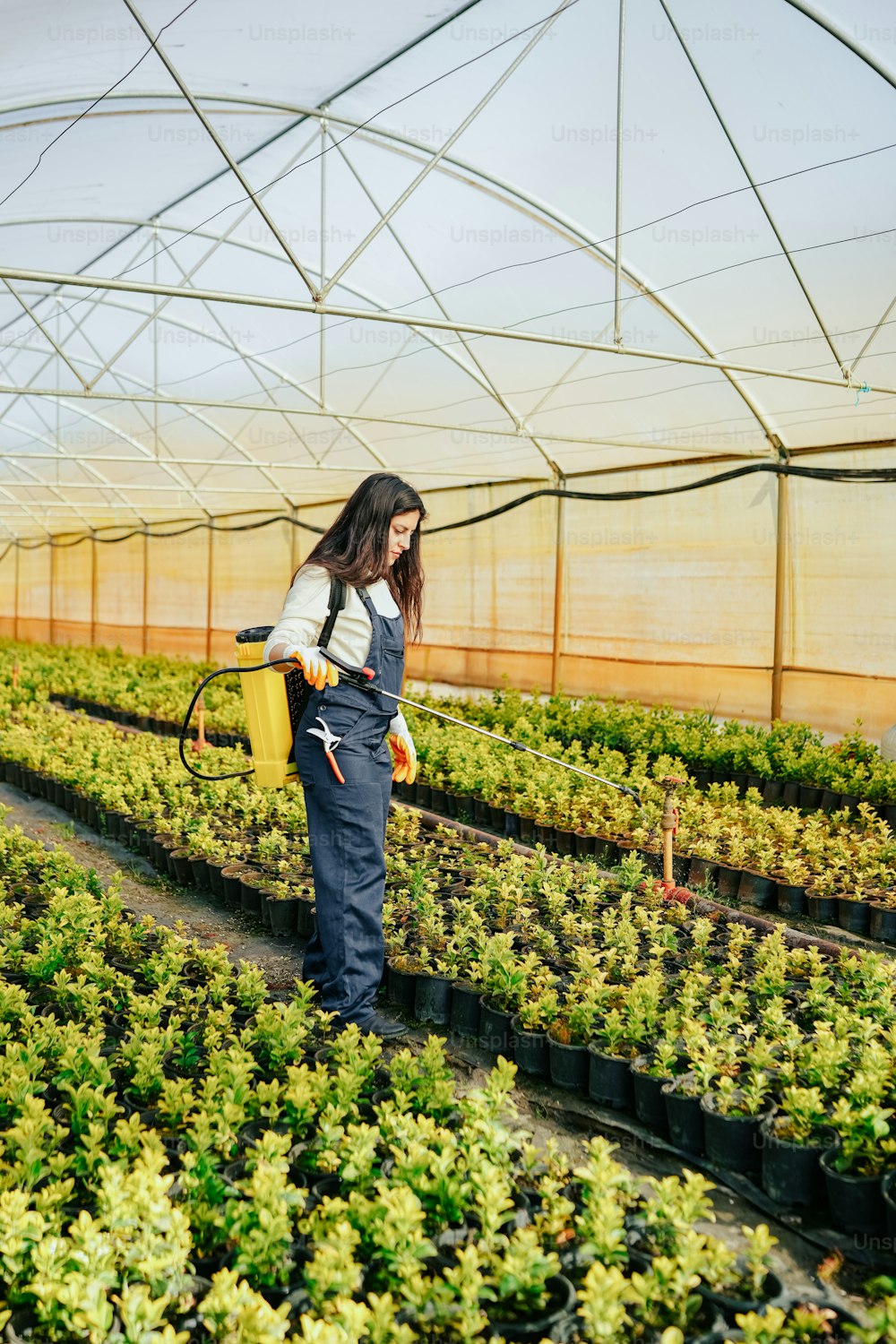 a woman standing in a greenhouse holding a sprayer