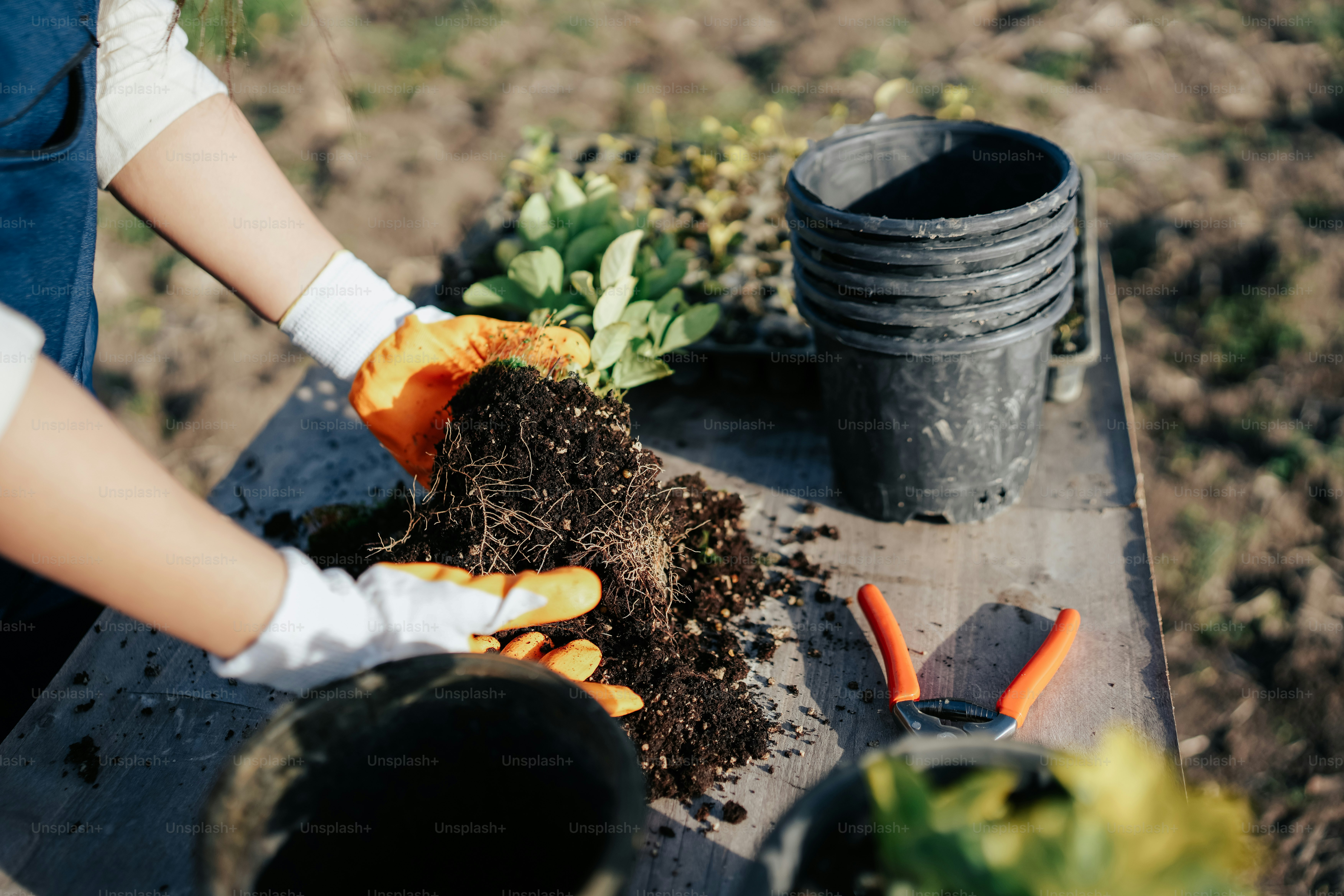 6 Composting Ideas Using Grazing Manure on Small Farms
