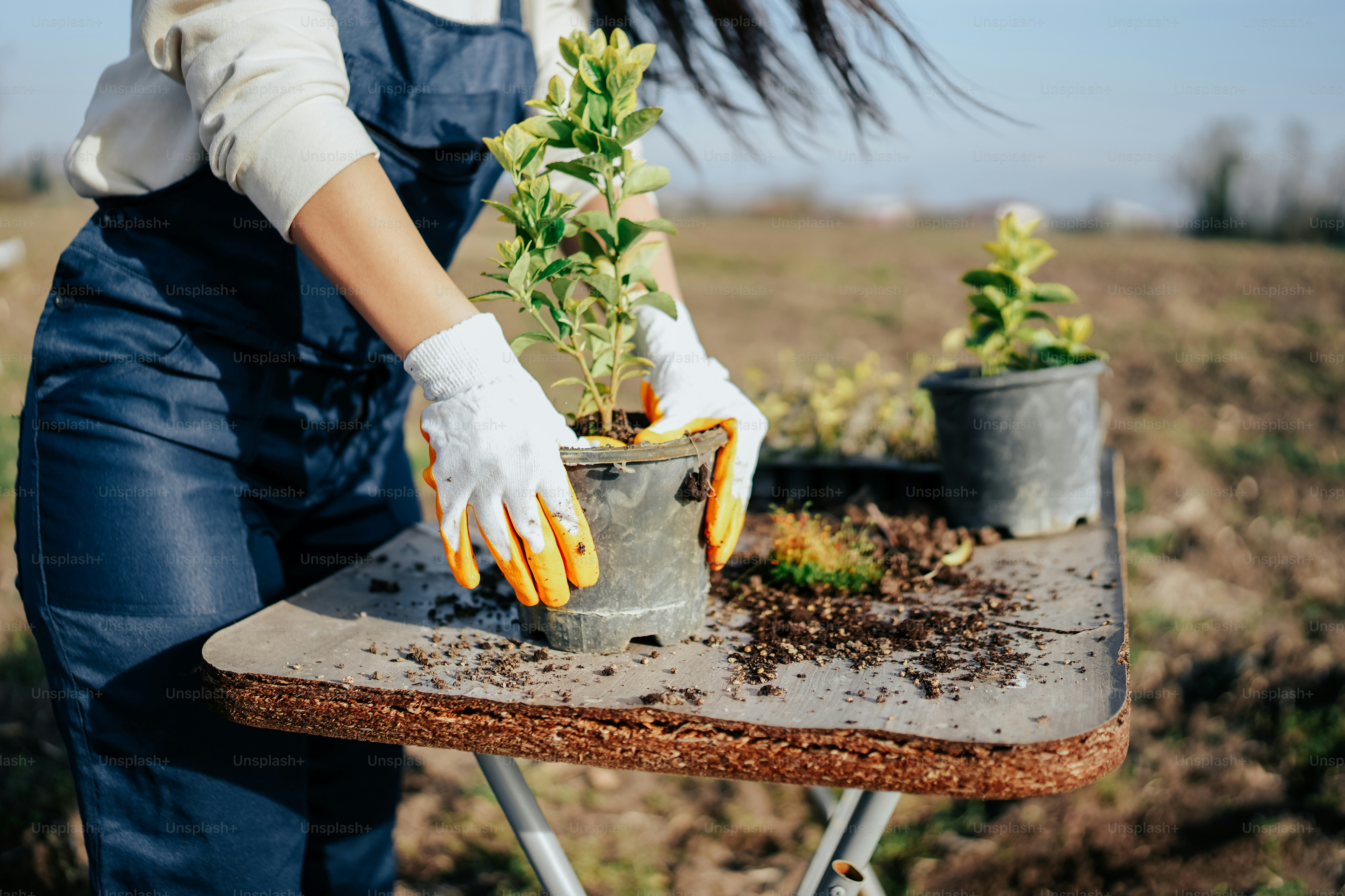 a woman in a white shirt and white gloves holding a potted plant