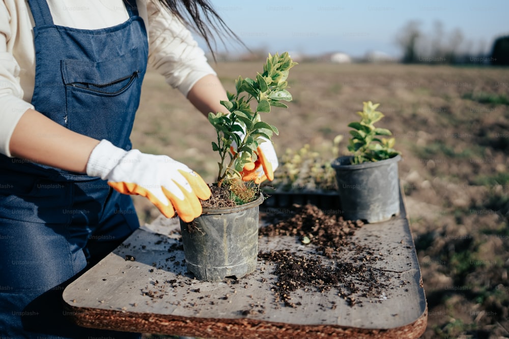 a woman in an apron and gloves is planting a plant