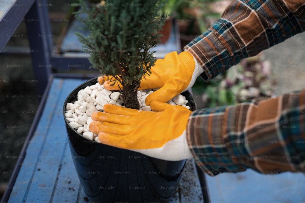 a person in yellow gloves is holding a potted plant