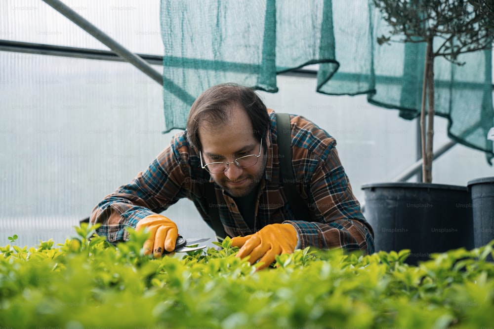 a man in plaid shirt and orange gloves working in a greenhouse
