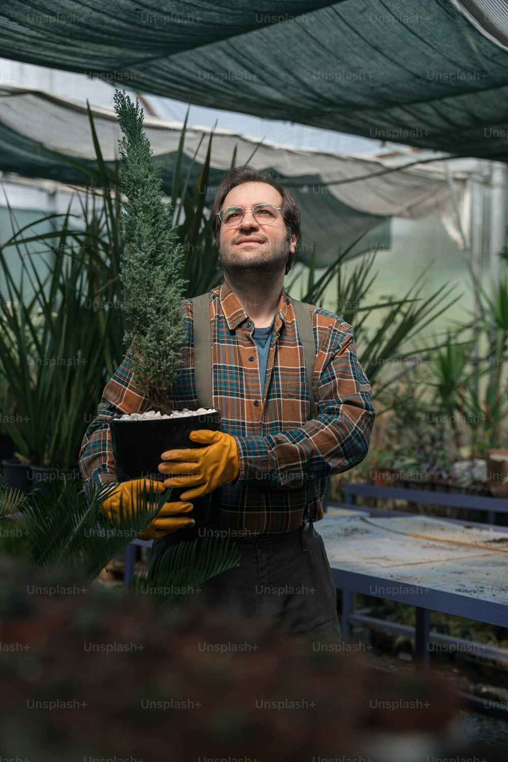 a man holding a potted plant in a greenhouse