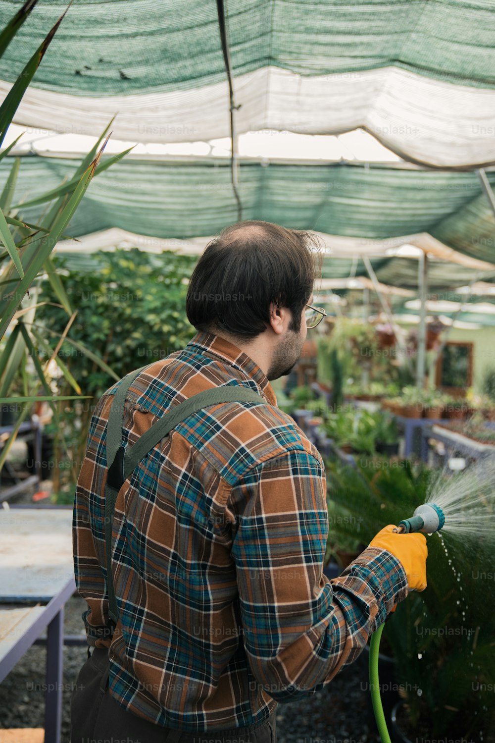 a man watering plants in a greenhouse