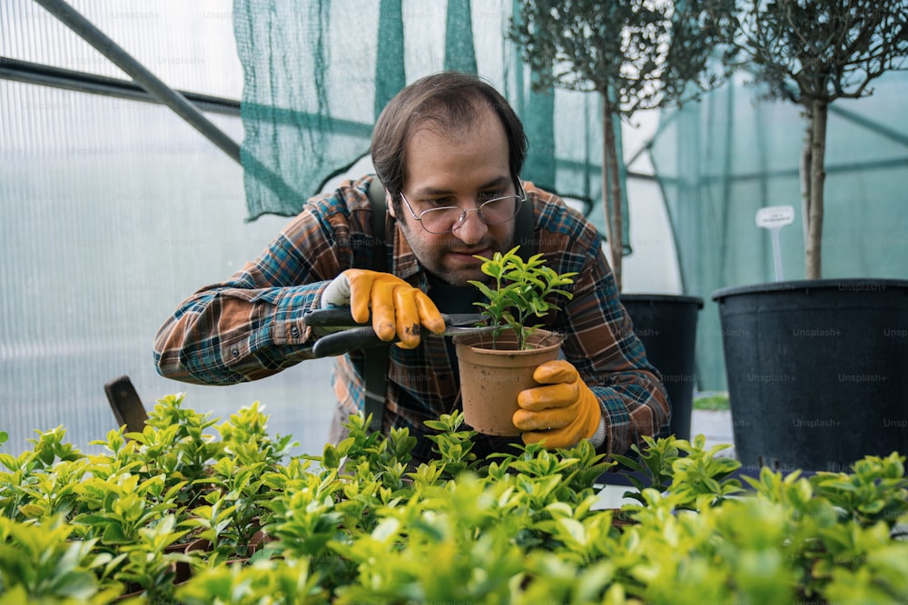 a man in a greenhouse tending to a potted plant