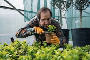 Ein Mann in einem Gewächshaus, der sich um eine Topfpflanze kümmert